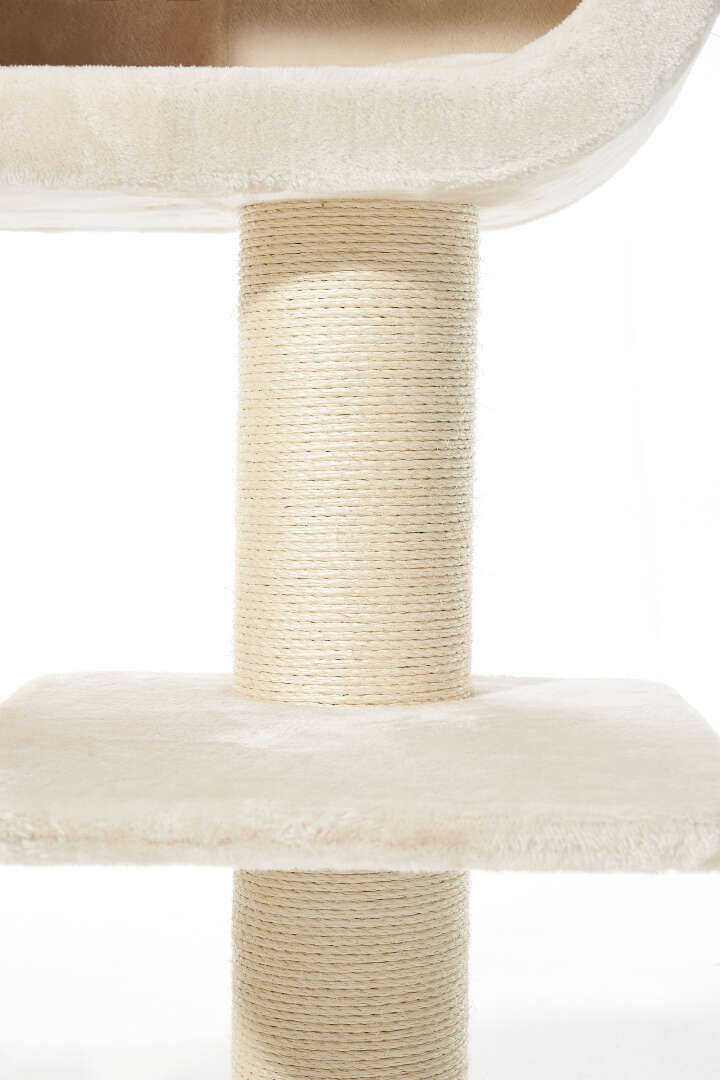 Nobby Kratzbaum Tove